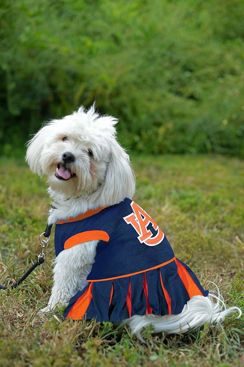 columbus blue jackets dog jersey
