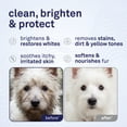 thumbnail image 3 of Petpost Dog Whitening Shampoo - Brightens White & Light-Colored Coats - Watermelon Scent for Maltese, Shih Tzu, Bichon Frise & Poodles - 8 oz, 3 of 10