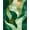 Green, Pattern 4, variant on ODIKA 4'x6' Machine Washable Non-Slip Area Rug, Modern Abstract with Flowing Shapes in Green and Teal Tones High Traffic Rug, Green, 81196