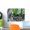 thumbnail image 1 of Tree Roots Wall Mural by Wallmonkeys Peel and Stick Graphic (18 in W x 14 in H) WM153059, 1 of 4