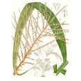 thumbnail image 2 of Curtis 19x24 White Modern Wood Framed Museum Art Print Titled - Palm Melange VII, 2 of 4