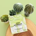 thumbnail image 3 of Máscara facial Avatara Juicy Avobravo con extracto de aguacate, paquete de 15, 3 of 6