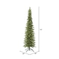 thumbnail image 4 of Vickerman 5.5' Bixley Pencil Fir Artificial Christmas Tree, Warm White Dura-lit LED Lights, 4 of 8