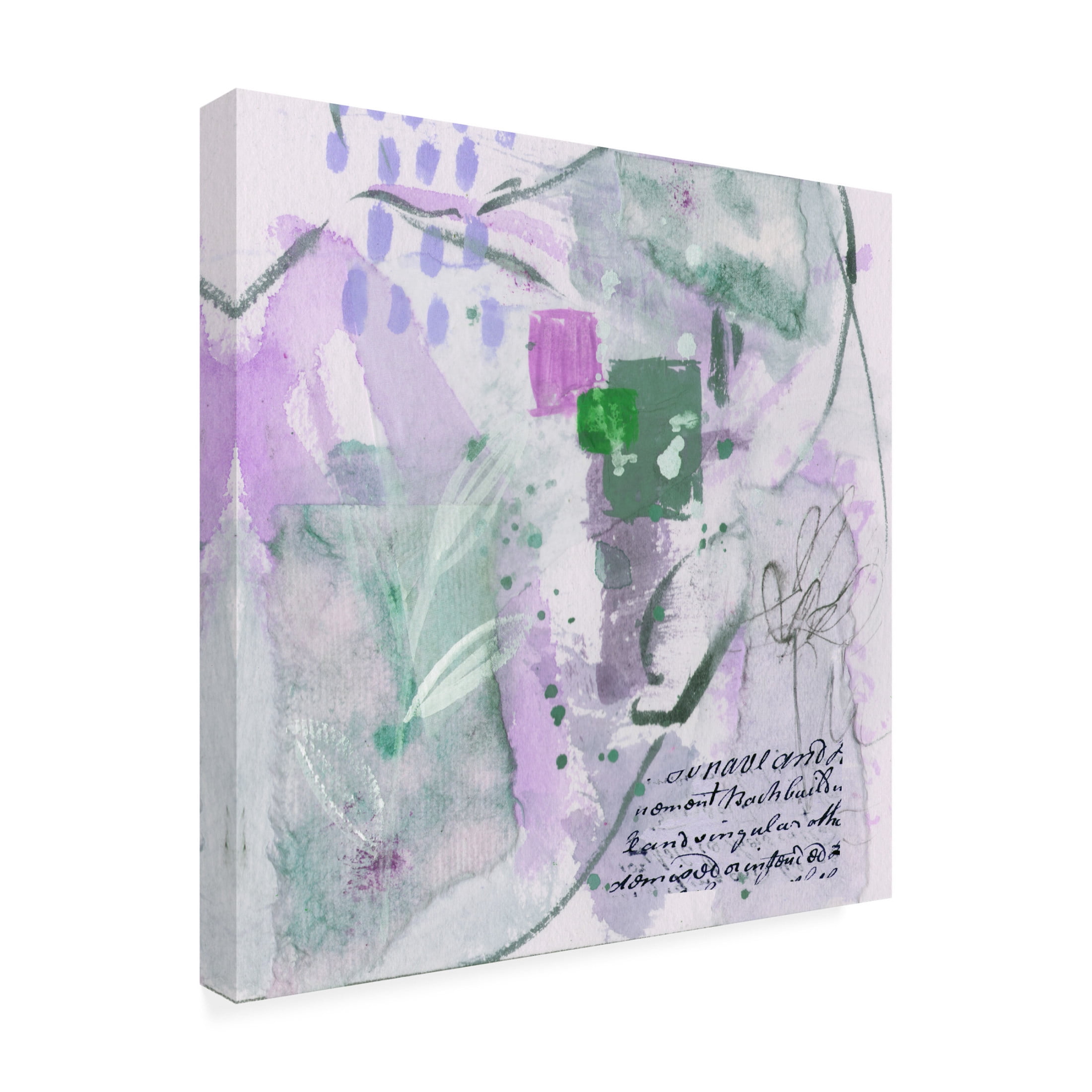 Trademark Fine Art Melissa Wang Mindscape II Canvas Wall Art