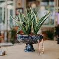thumbnail image 4 of OULII 10PCS Wooden Simulation Ladder for Micro Landscape Indoor Decoration, 4 of 6