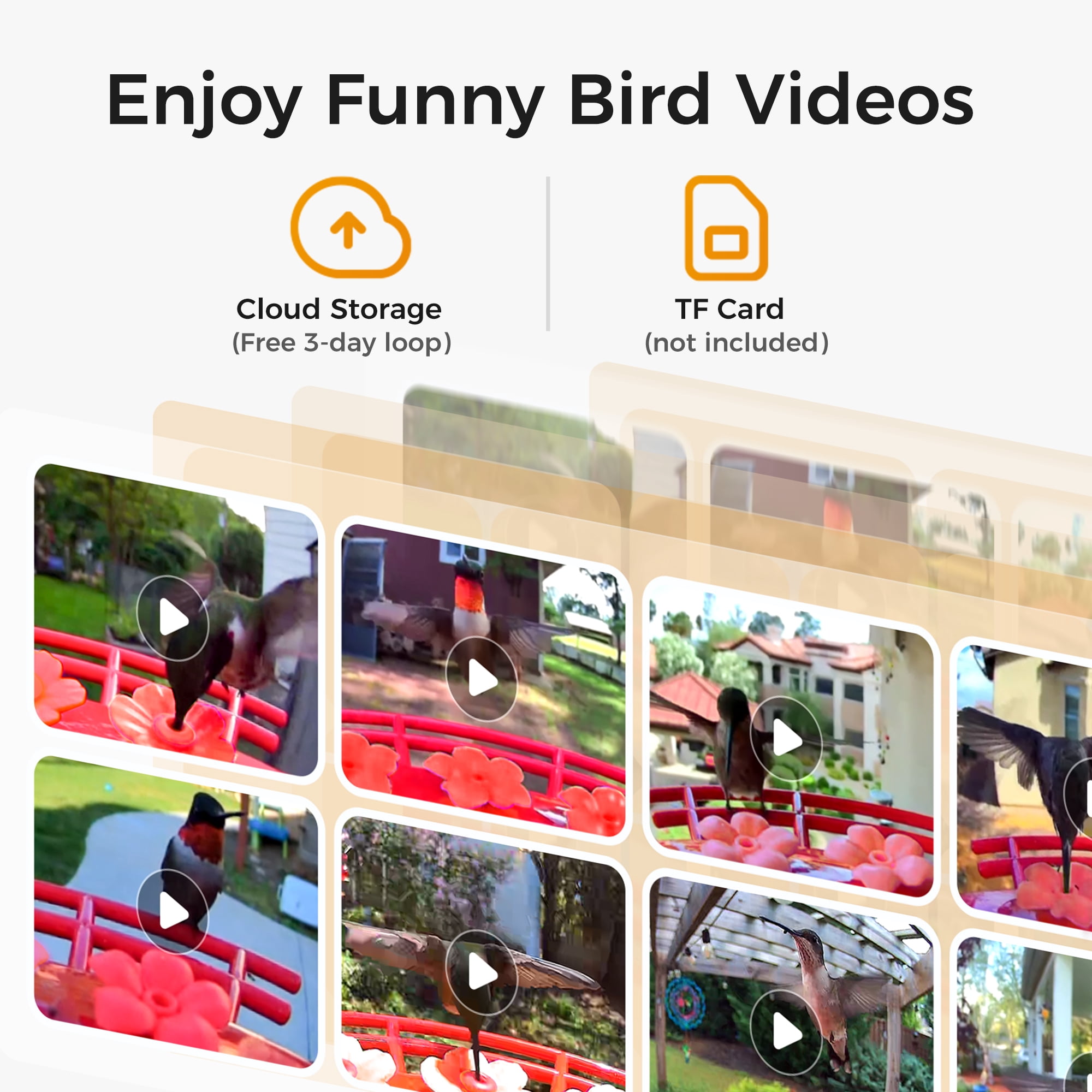 TT Nature Smart Hummingbird Feeder with Camera, Solar Powered, AI Bird Identification, Cloud Storage, Instant App Alerts, CCPA Compliant, Outdoor Hanging Feeder, 20 oz