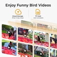 thumbnail image 3 of TT Nature Smart Hummingbird Feeder with Camera, Solar Powered, AI Bird Identification, Cloud Storage, Instant App Alerts, CCPA Compliant, Outdoor Hanging Feeder, 20 oz, 3 of 7