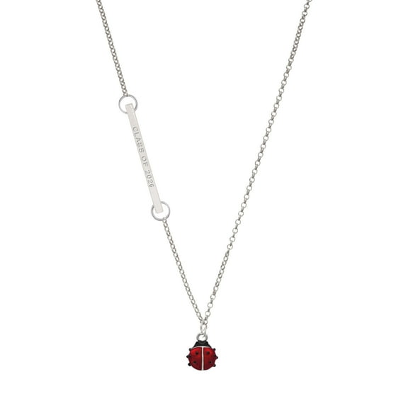 Delight Jewelry Silver-tone Mini Red Translucent Ladybug - Silvertone Class of 2026 Delicate Bar Necklace, 18.75"