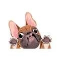thumbnail image 1 of EGNMCR Wall Stickers, Cute Stickers Three-dimensional Simulation Dog Car Sticker Pet Dog Sticker Wate Waterproof sticker, 1 of 1