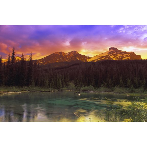 Small Mountain Lake With Submerged Logs Canvas Art - Carson Ganci  Design Pics (17 x 11)