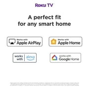Hisense 65 Class 4K UHD LCD Roku Smart TV HDR R6 Series 65R6E4