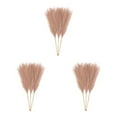 thumbnail image 1 of Redempat 3pieces Transform Environment With Pampas Reed Decor Downy And Durable Light Coffee 3Set, 1 of 6