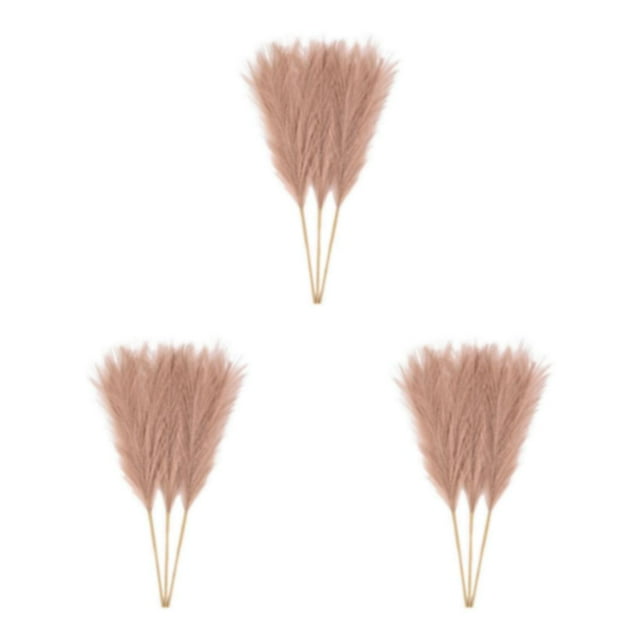 Redempat 3pieces Transform Environment With Pampas Reed Decor Downy And Durable Light Coffee 3Set