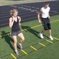 thumbnail image 3 of Prism Fitness Smart Cart Training Systems, 3 of 9