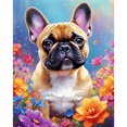 thumbnail image 1 of Kit Pintura Por Números Sobre Lienzo Arte Al Óleo Artesanal Imagen Bulldog Del 40x50cm, 1 of 9
