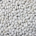 thumbnail image 2 of Jack Rabbit Navy Beans, 25 Pounds, 2 of 2