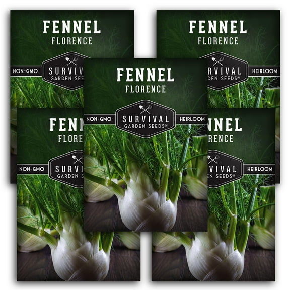 Fennel Seeds - 5 Pack - Non-GMO Heirloom Full Sun Perennial Vegetable