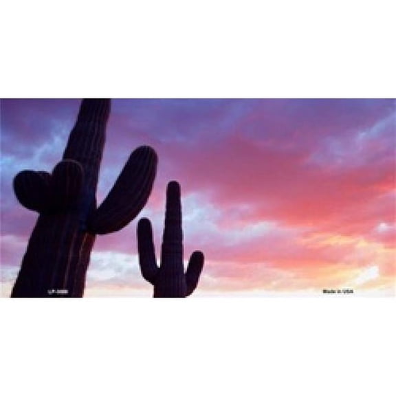 Sunset Saguaro  Cactus License Plate
