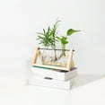 thumbnail image 5 of Yonrjhukm Plant Terrarium with Wooden Stand, Planter Bulb Glass Vase Metal Swivel Retro Tabletop for Hydroponics Home Garden Office Decoration, 3 Bulb Vase, 5 of 8