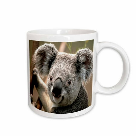 

3dRose Koala Bear Closeup Ceramic Mug 11-ounce