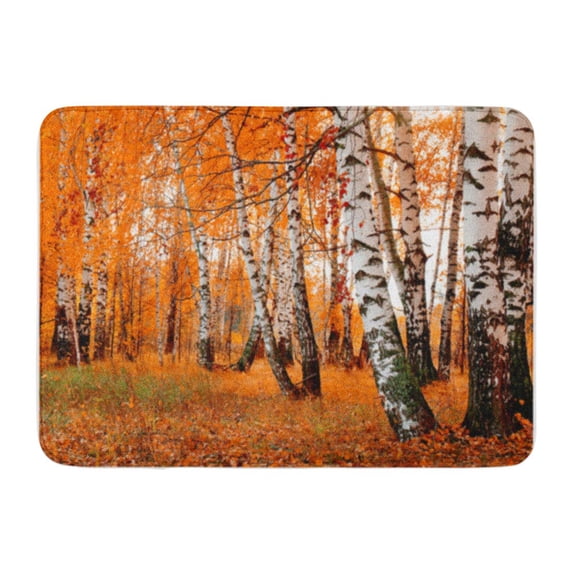 SIDONKU Red Landscape Orange Birch Grove Pink Scenery Nature Autumn Forest Doormat Floor Rug Bath Mat 30x18 inch