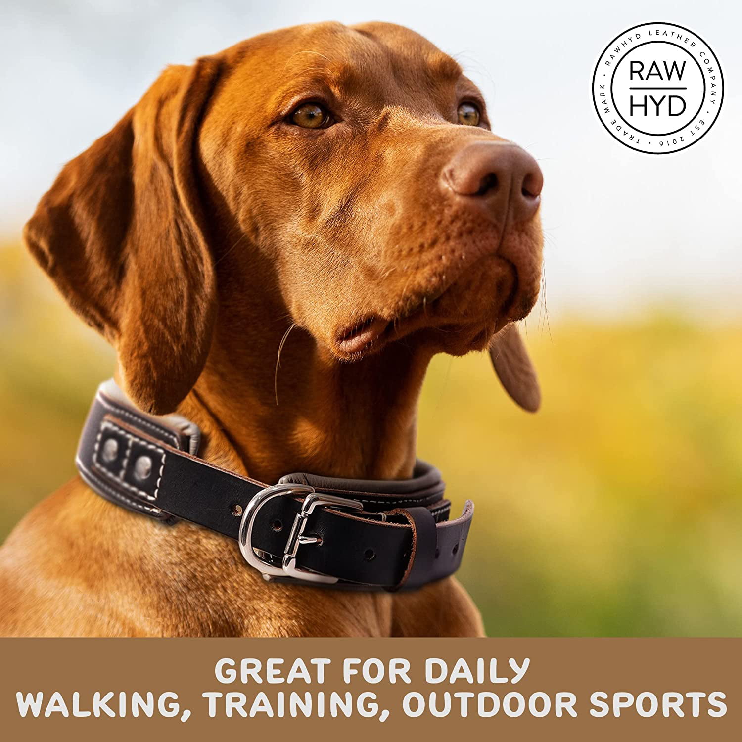 RAW HYD Leather Dog Whistle Lanyard - Adjustable Dog Whistle Training  Lanyard - Genuine, Full-Grain Leather Lanyard - Single Drop Dog Training  Whistle