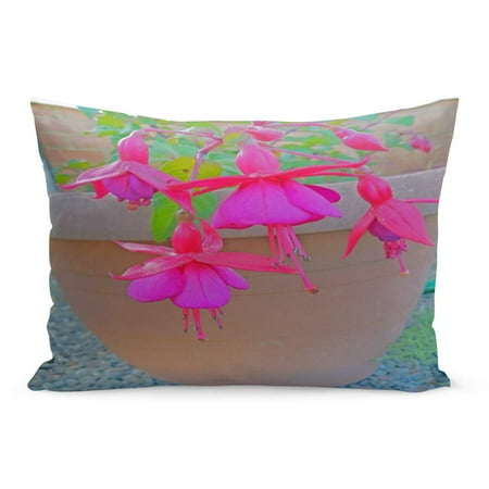 Fuschia Pillow Cases ECCOT Bloom Red Beautiful Flowers in Pots Pink Fuschia Beauty Pillowcase Pillow Cover Cushion Case 20x30 inch ()
