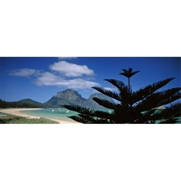 Panoramic Images PPI88985L Vue Panoramique d'Un Littoral Île de Howe Australie Affiche Imprimée par Panoramic Images - 36 x 12