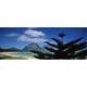 Panoramic Images PPI88985L Vue Panoramique d'Un Littoral Île de Howe Australie Affiche Imprimée par Panoramic Images - 36 x 12 – image 1 sur 1