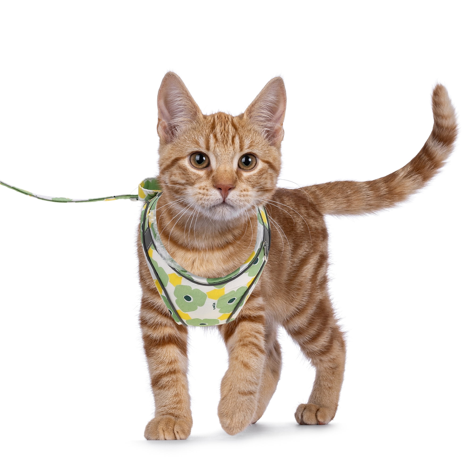 Unique Bargains Puppy Dog Harness and Leash Set with Reflective Strip Green M