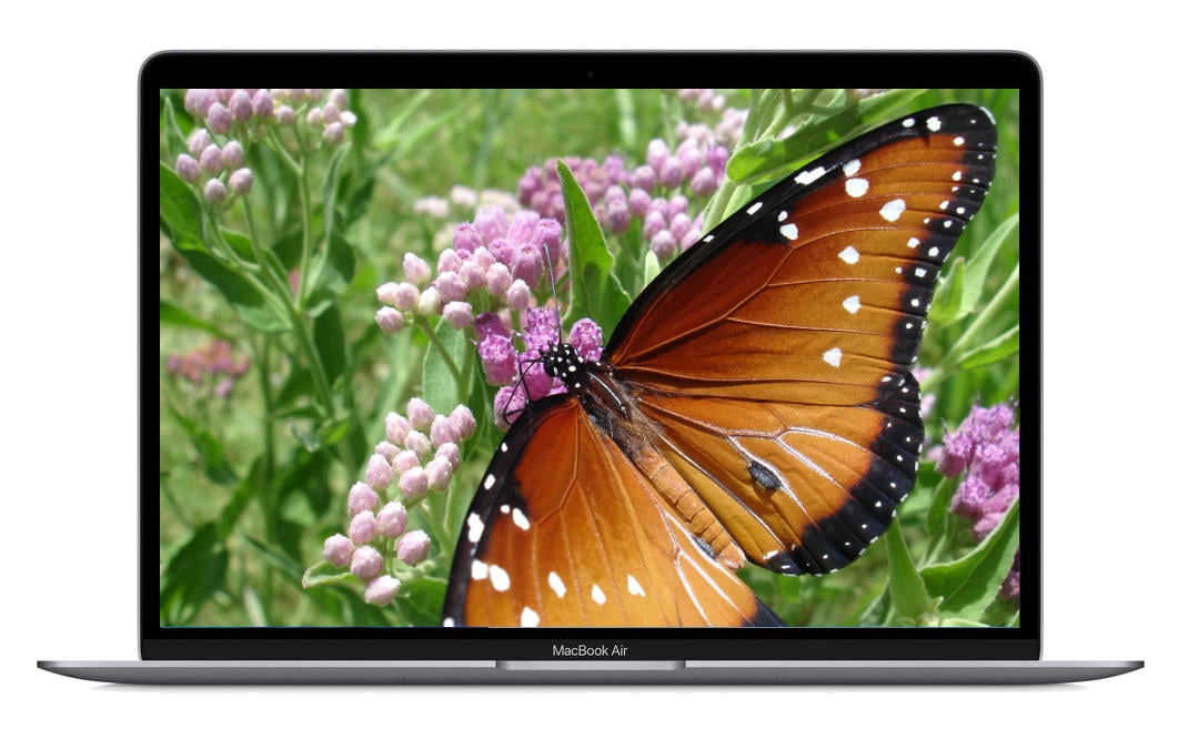 Apple MacBook Air 13.3-inch (Retina, Space Gray) 1.6GHz Dual Core i5 (2019)  512 GB Flash Hard Drive 16 GB Memory (Used)