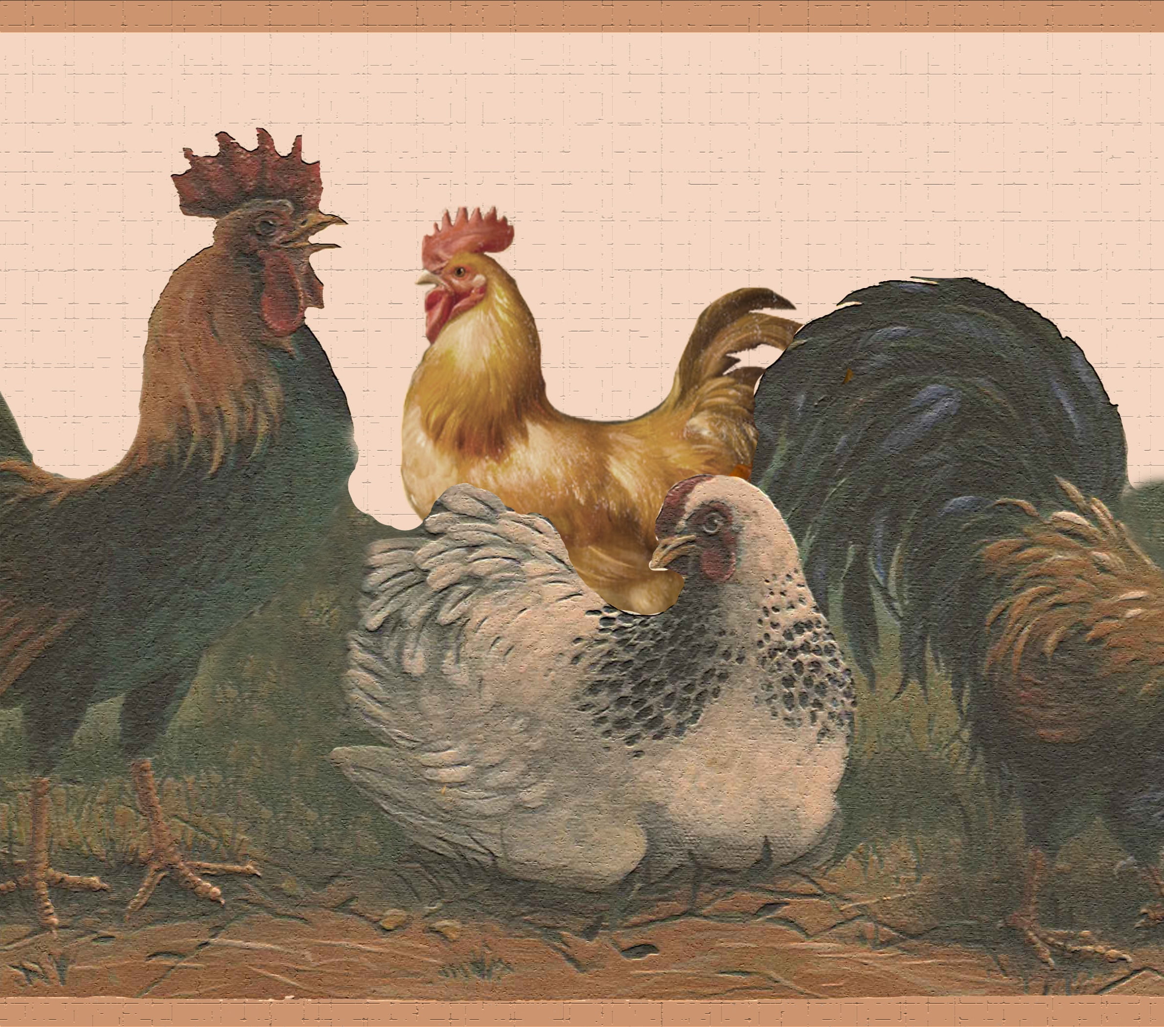 Primitive Country Chicken & Rooster on Wood Brown Wallpaper Border Wall Decor 