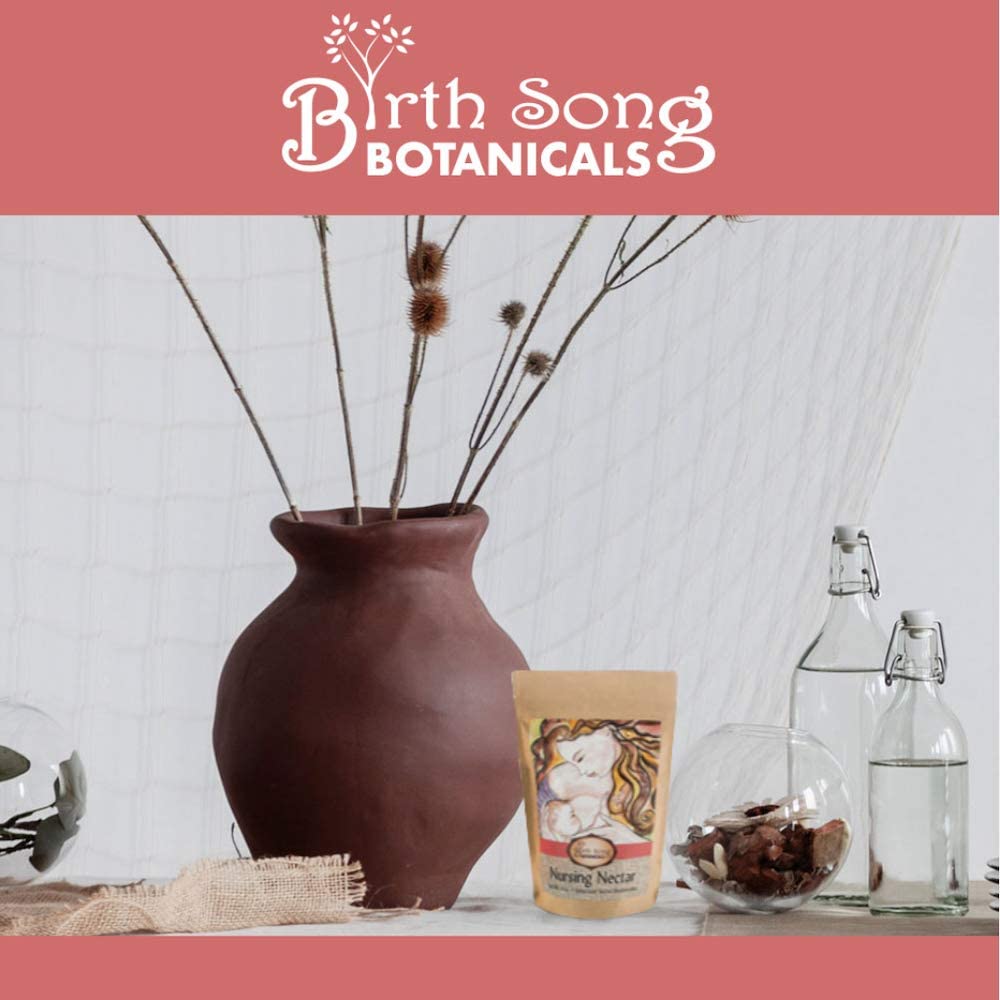 Birth Song Botanicals Organic Nursing Nectar Breastfeeding Tea for Healthy Lactation and Breastmilk Supply 40 Count