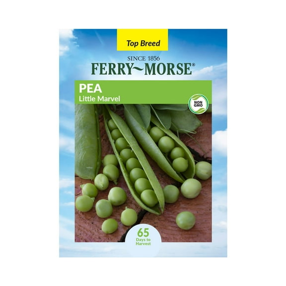 Ferry-Morse 8.5G Pea Little Marvel Dwarf Annual Vegetable Seeds, Full Sun