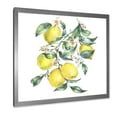 thumbnail image 2 of Designart 'Branch of Leaves and Yellow Lemons I' Tropical Framed Art Print, 2 of 4