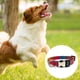 thumbnail image 3 of Collar de perro tribal Patrón azteca collar de mascota de nylon ajustable MFZFUKR CPB-US-YY488-3, 3 of 5