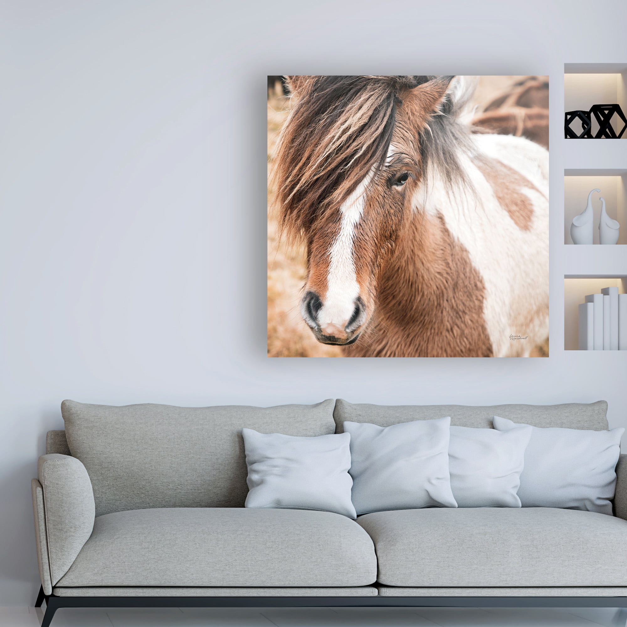 Trademark Fine Art 'Elska IV' Canvas Art by Laura Marshall