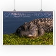 thumbnail image 2 of Gainesville, Florida, Slumbering Gator (9x12 Wall Art Print, Home Decor), 2 of 3