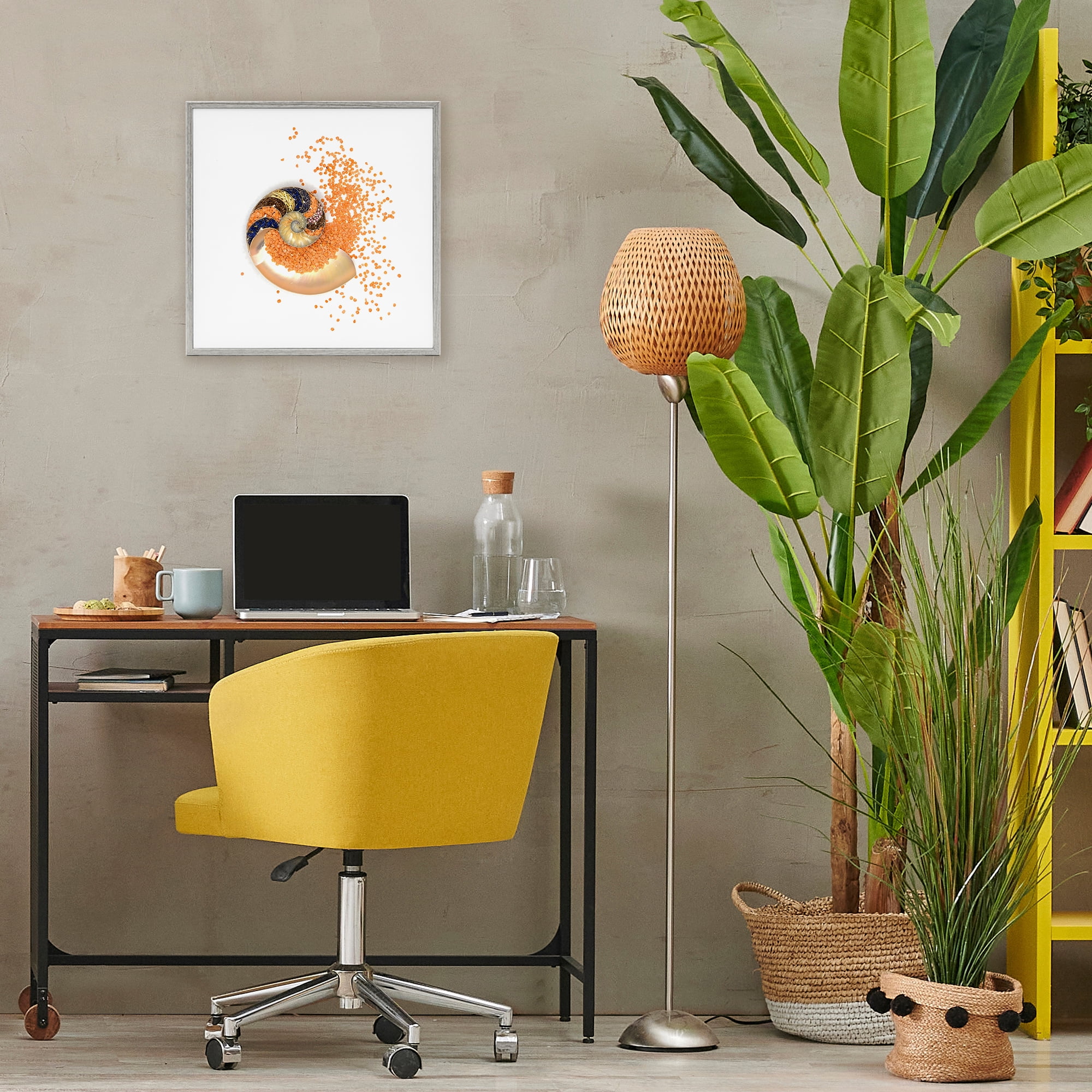 Stupell Industries Orange Nautilus Spiral Gray Framed Giclee Art, design by Beth Adoette
