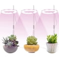thumbnail image 1 of 3 Head Led Succulents Grow Light Full Spectrum Lights with Stand , Annular Growing Light USB Interface Ring Lamp Flower Grow Lights for Garden Potted Plant Seed Starting (White), 1 of 8