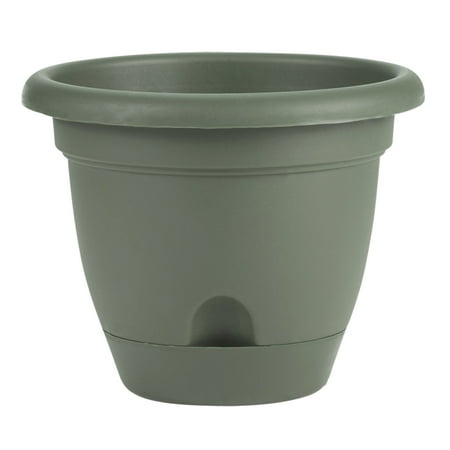 UPC 811214026362 product image for Bloem Lucca Self Watering Planter W/ Saucer 13.25 x 10.75 Plastic Round Living G | upcitemdb.com