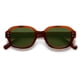 thumbnail image 1 of Lentes de Sol SOJOS Vintage y a la Moda para Mujeres SJ2218 (Carey Rojo), 1 of 5