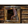 thumbnail image 2 of Mahan, Kathy 24x18 White Modern Wood Framed Museum Art Print Titled - Cabin Window, 2 of 4