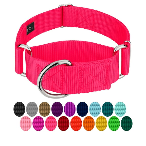 Country Brook Petz® 1 1/2 inch Hot Pink Martingale Heavyduty Nylon Dog Collar, Large