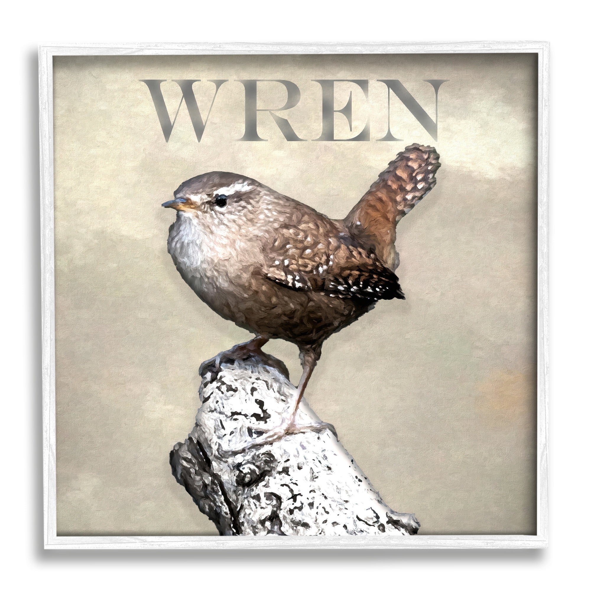 Stupell Industries Wren Bird Standing Casual Nature Breed Typography Graphic Art White Framed Art Print Wall Art, Design by Alpenglow Workshop
