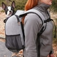 thumbnail image 2 of K&H Pet Products Travel Bike Backpack For Pets, 2 of 7