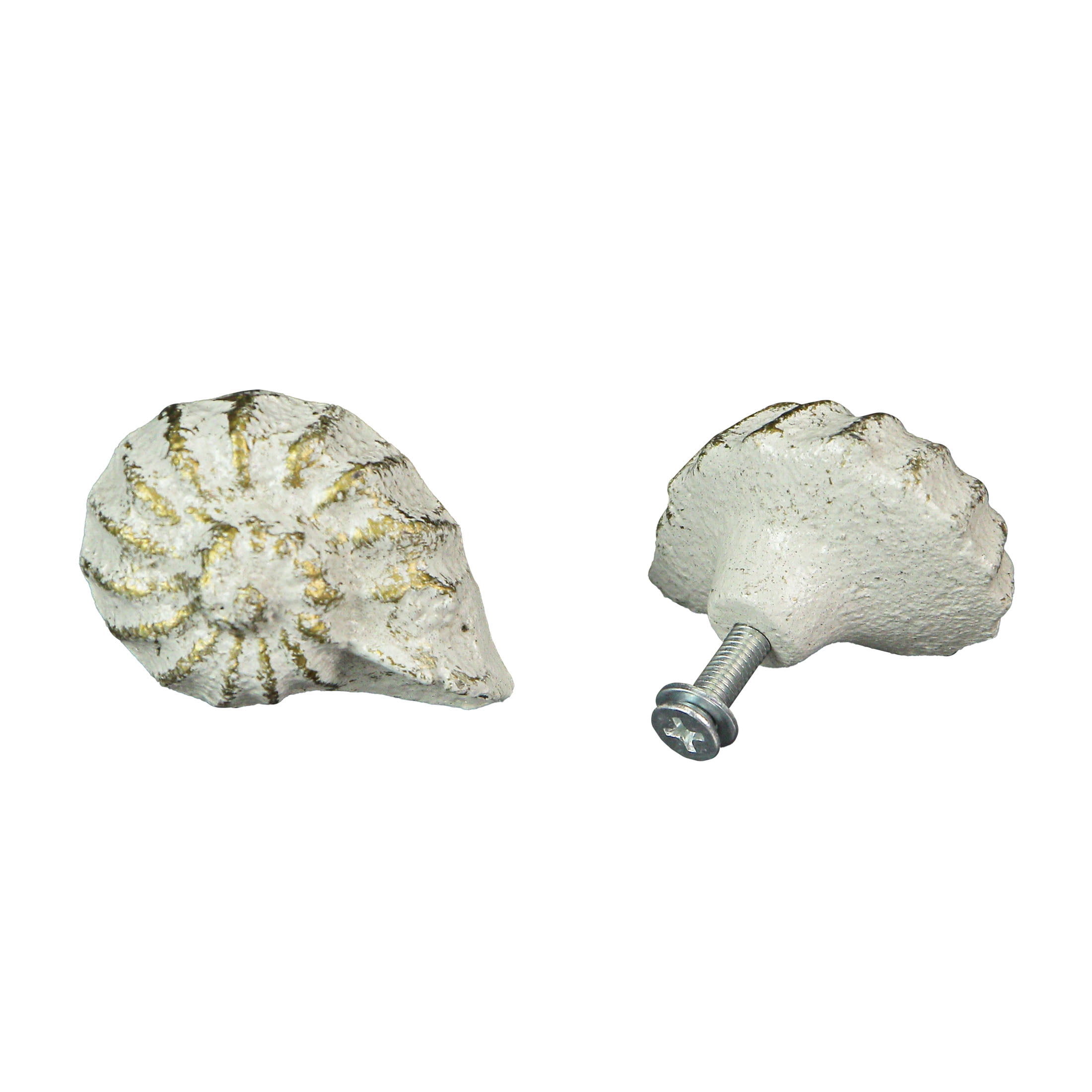 Zeckos White Cast Iron Nautilus Shell Cabinet Drawer Pull Set of 6