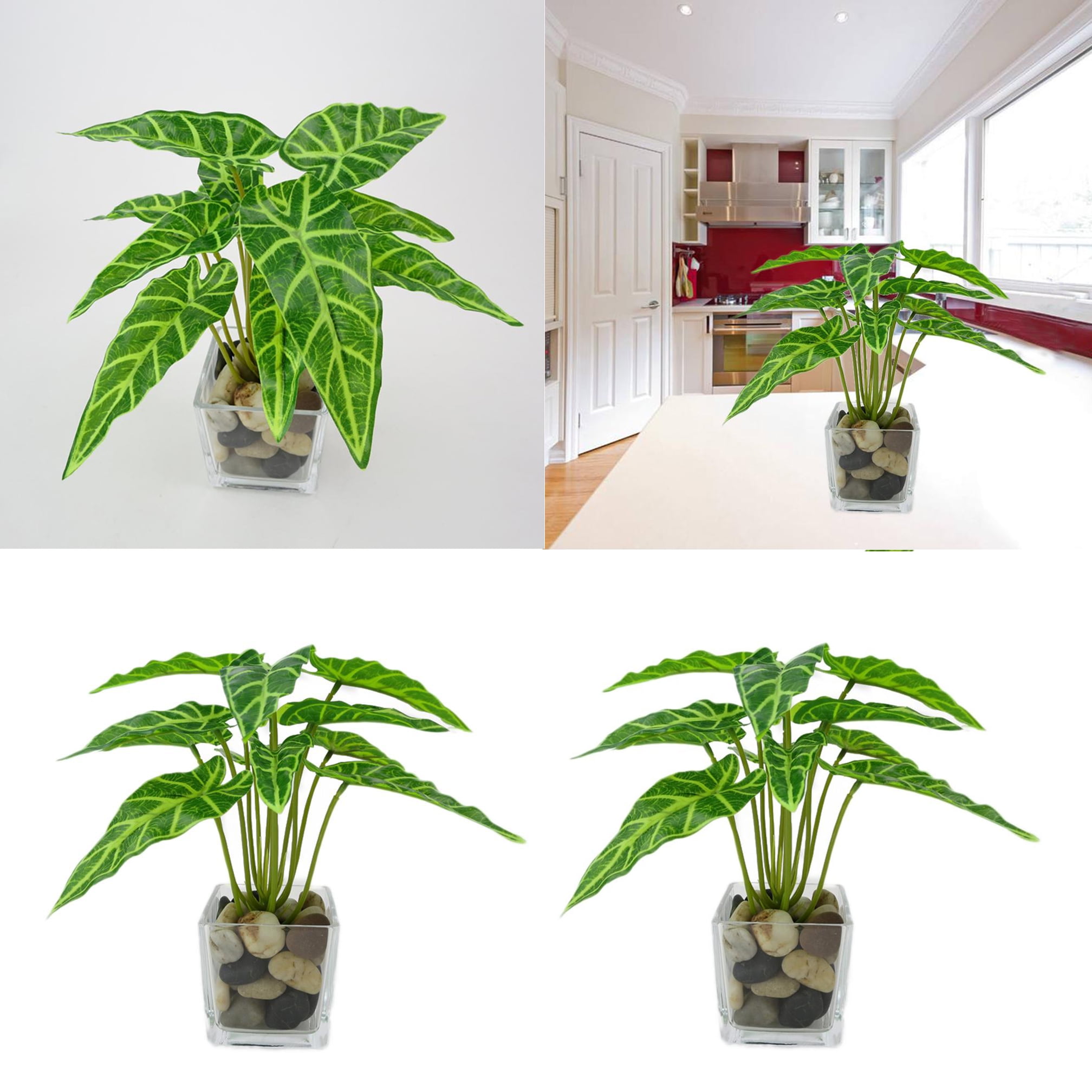 Are Willow Trees Toxic To Cats Amp Dogs