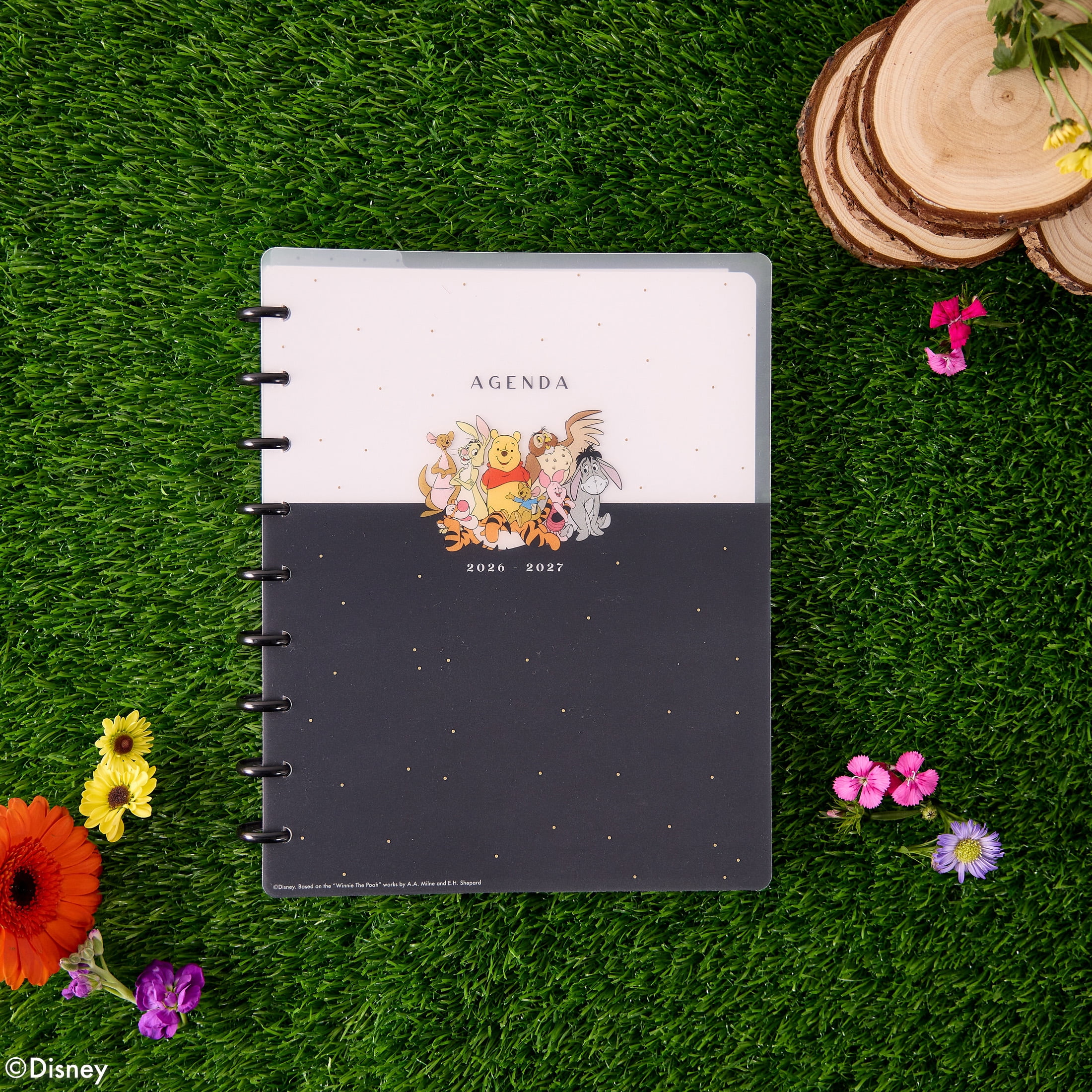 Happy Planner Disney Pooh & Company Monthly Weekly Classic 15 Month Disc Bound Dated Planner (7” x 9.25”) April 2026 to June 2027, recycled plastic disc-bound