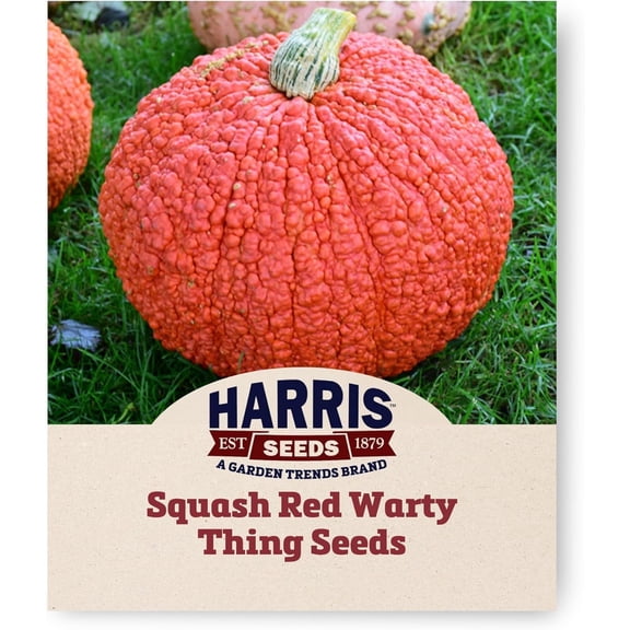 Harris Seeds - Treated Winter Squash Red Warty Thing Hubbard Bright Orange - 1 Oz.